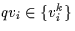 $qv_{i} \in \{v^{k}_{i}\} $