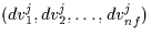 \((dv^{j}_{1},dv^{j}_{2}, \ldots , dv^{j}_{nf}) \)